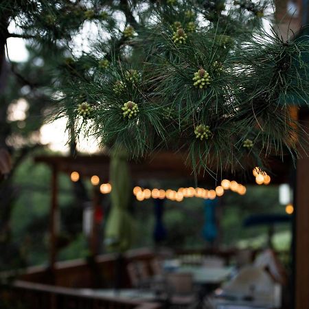 Coyote Blues Village Bed & Breakfast Silver City Экстерьер фото