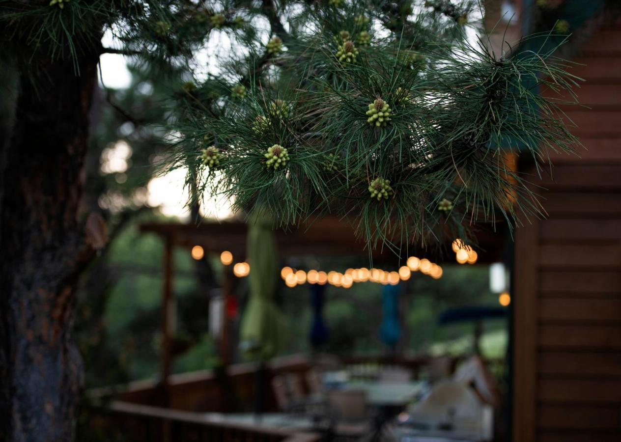 Coyote Blues Village Bed & Breakfast Silver City Экстерьер фото