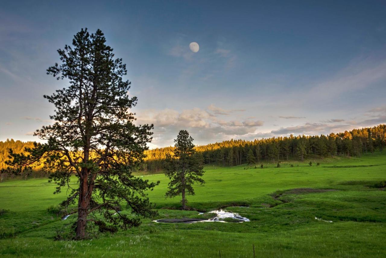 Coyote Blues Village Bed & Breakfast Silver City Экстерьер фото